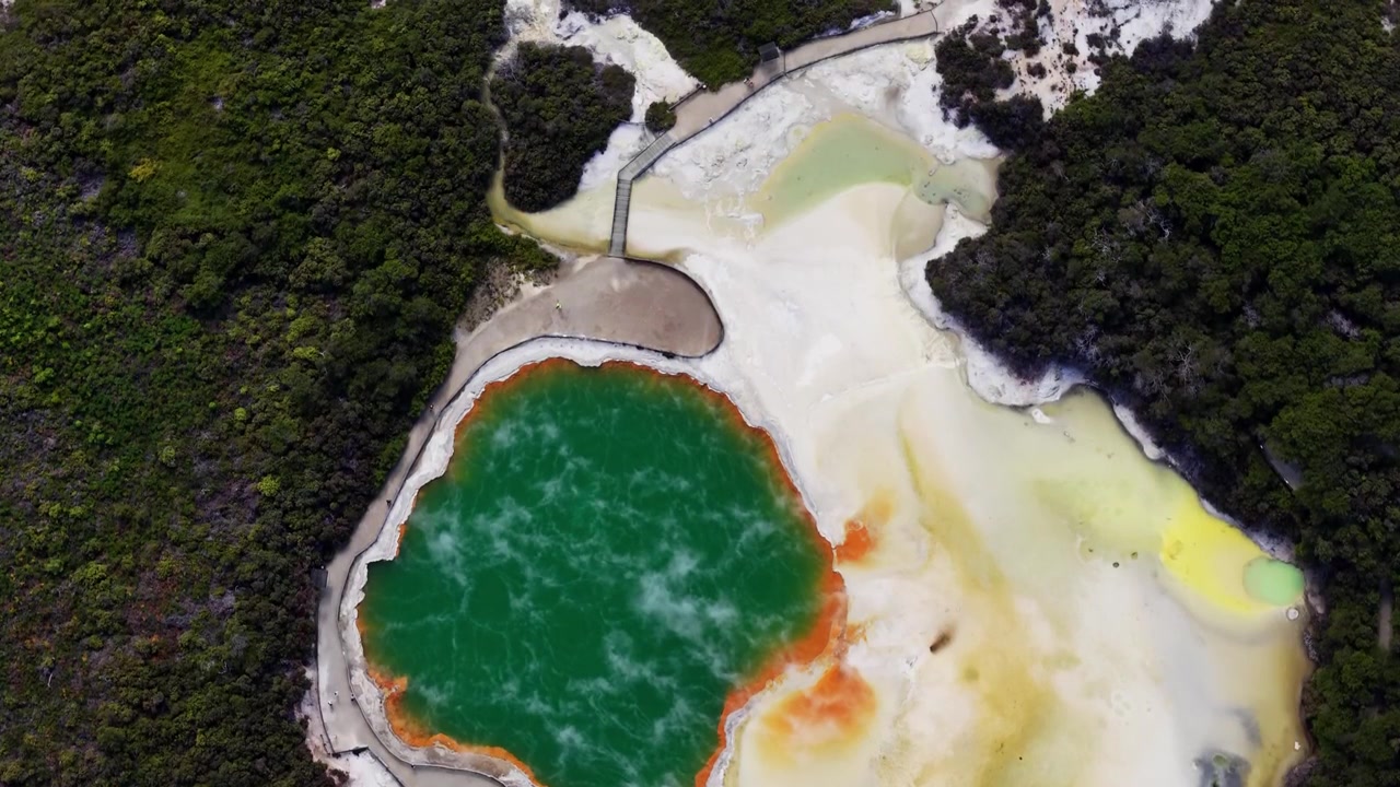 Piscine geotermiche di Wai-O-Tapu vicino a Rotorua, Nuova Zelanda, acqua verde vivido, depositi minerali arancioni e terreno vulcanico circondato da foresta nativa