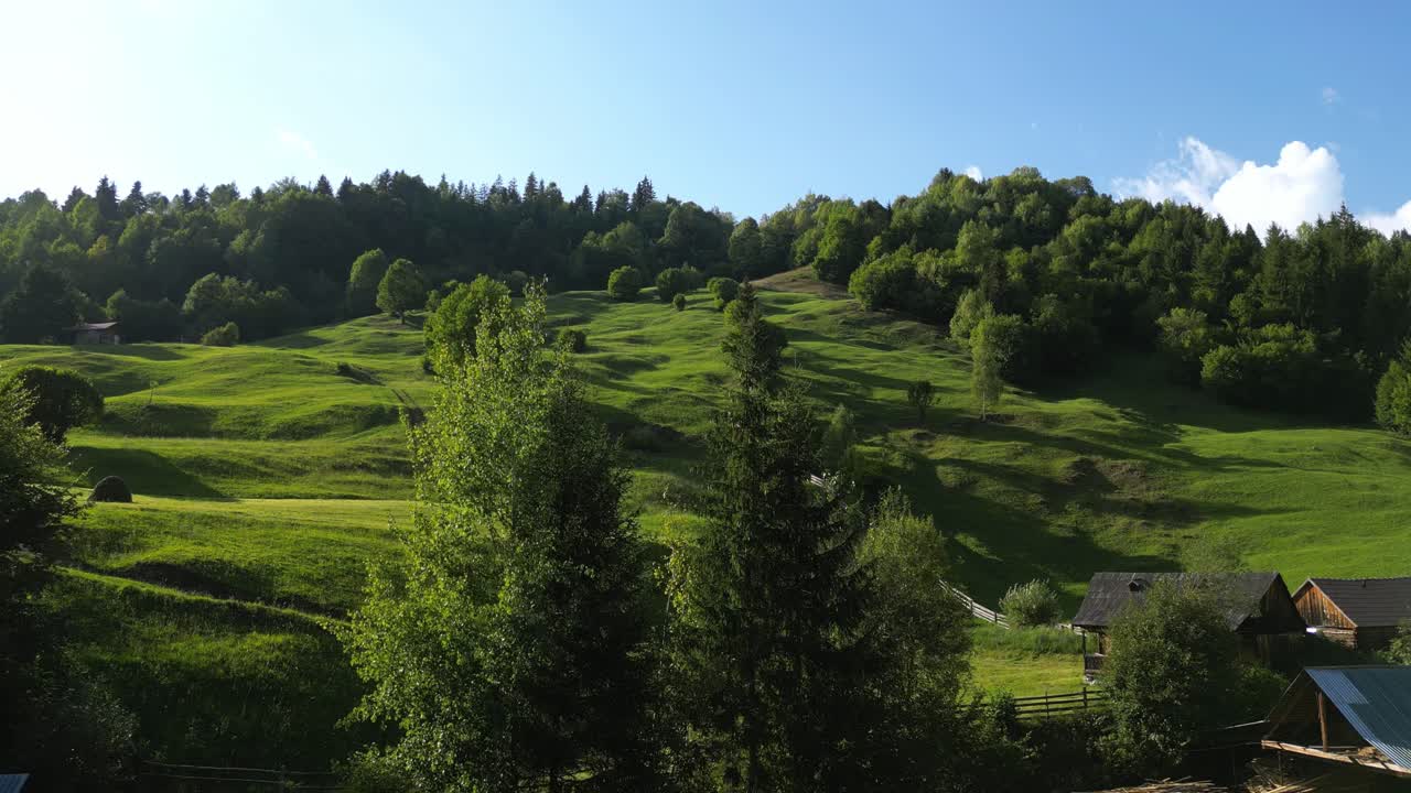 exuberantes colinas verdes de montaña con bosque en verano en palanca, rumania
