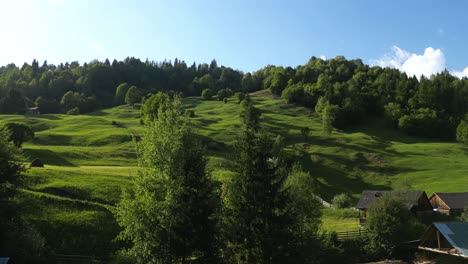 lush green mountain hills with forest in summer in palanca, romania