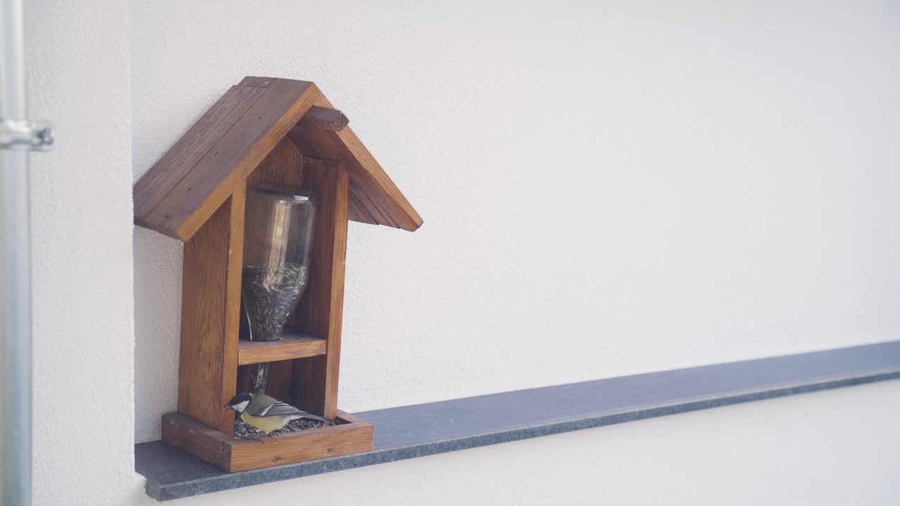 chickadee se sienta en el alimentador de pájaros de madera para comer semillas, luego vuela lejos