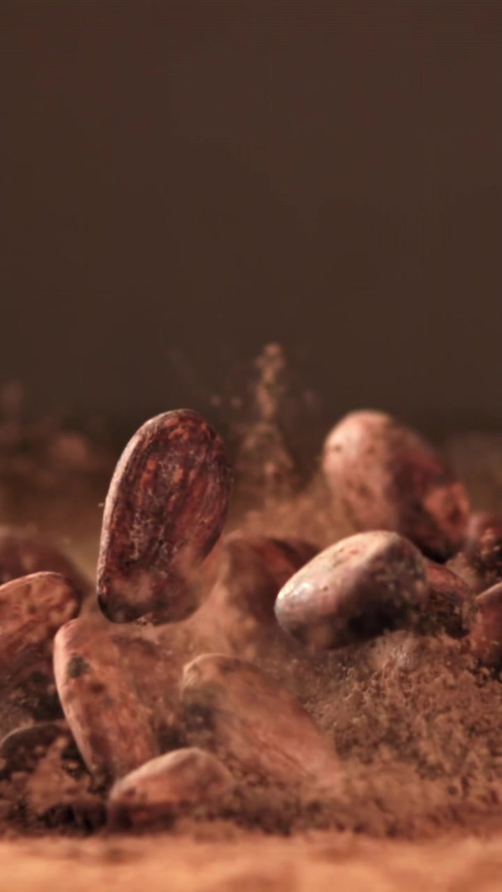 Slow Motion Cocoa Beans Falling onto Cocoa Powder