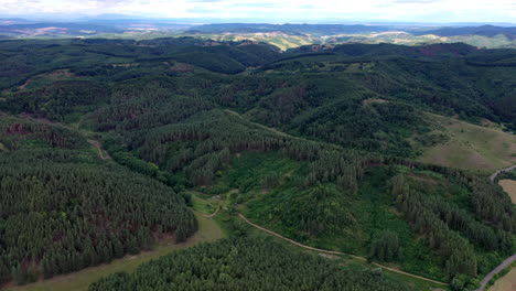 Road-trip-through-a-forest-in-hungary