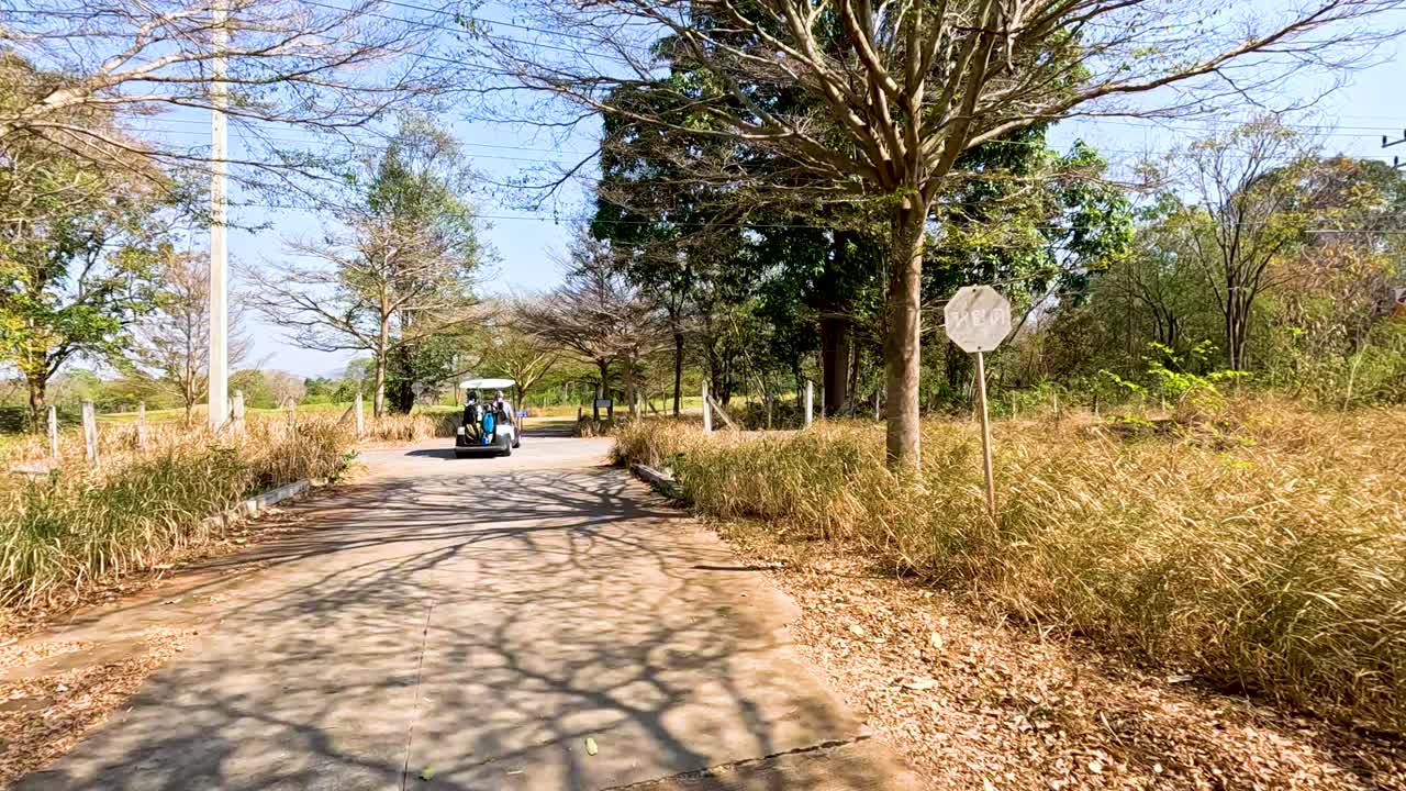 골프 카트 가 경치 좋은 길 을 따라 이동 한다