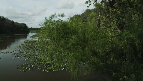 Woods-Reveals-Swamps-And-Lake-Near-Lamar-In-Missouri,-United-States