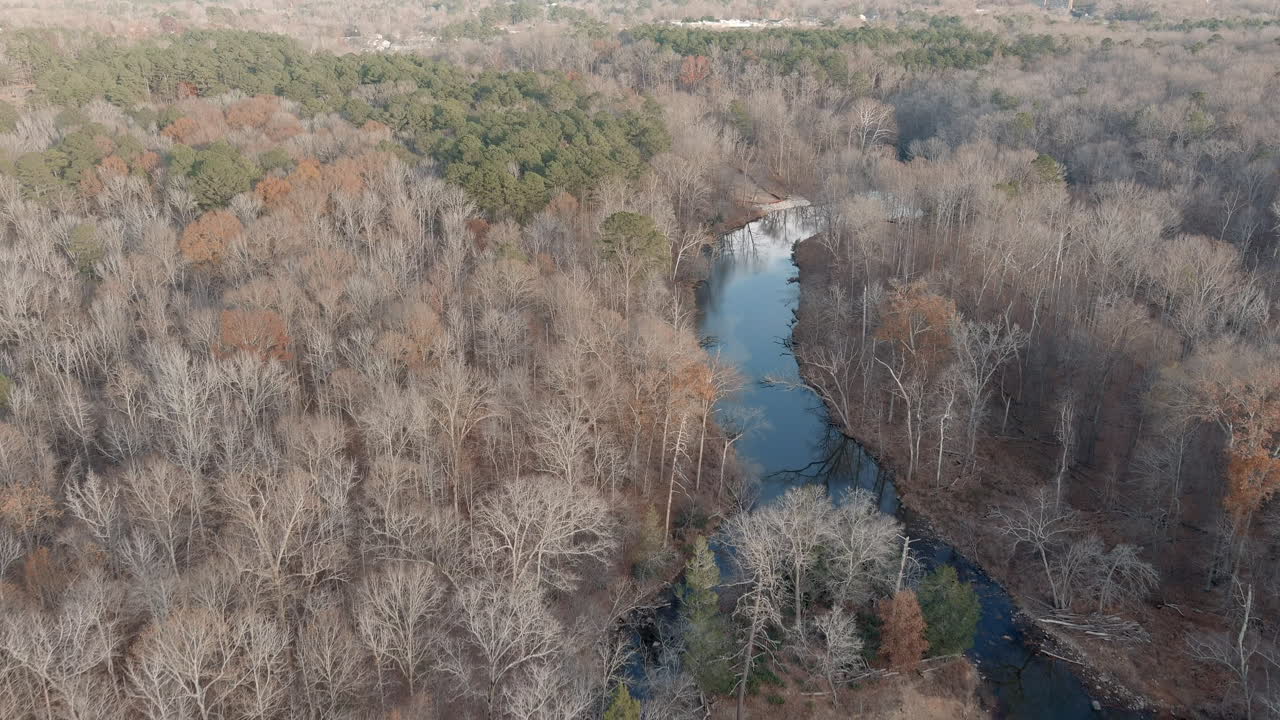 río tranquilo dividiendo el paisaje forestal de árboles sin hojas en otoño, aéreo