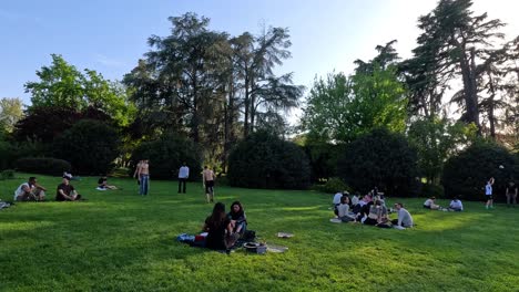 groups enjoying a sunny day in the park