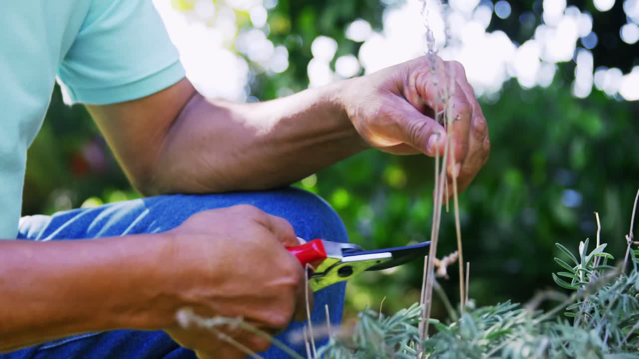 plantas de corte de hombres de alto nivel