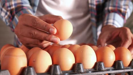 person holding an egg over a tray of eggs