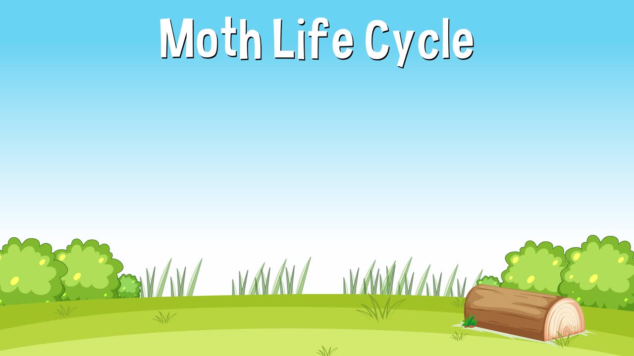 나방의 생애 순환에 대한 교육 애니메이션