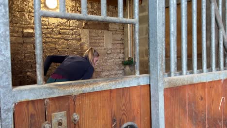 Girl-working-in-the-stables