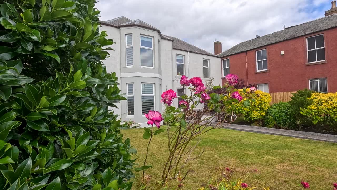Pink garden flowers move gently in the breeze before a red and white residential building in Broughty Ferry, Dundee. Daylight, static wide shot