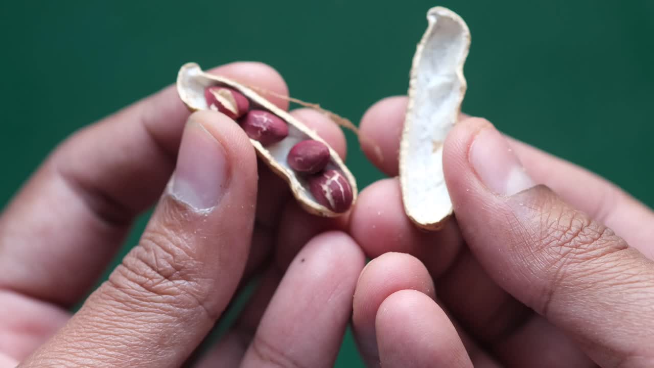 가공된 견과류를 가까이서 먹는 것