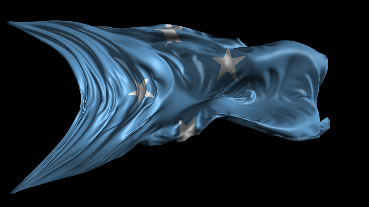 소말리아의 발을 흔들고