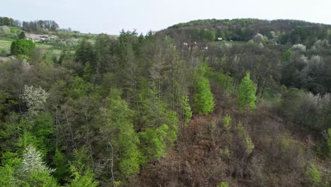 aerial ascending shot revealing a small farmhouse built on the lower tatras mountain forest