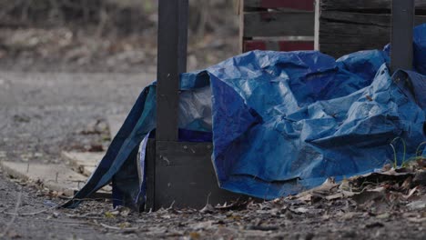 blue tarp hiding something eerie outside abandoned timber shack in remote woodland forest