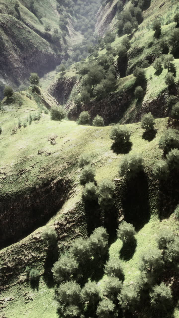 paisajes forestales aéreos europeos