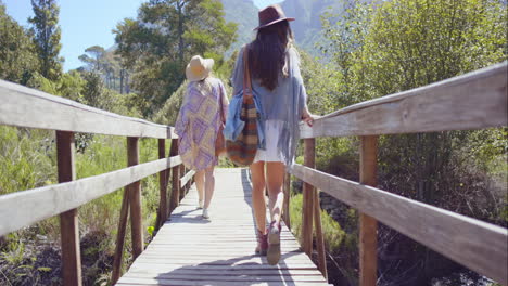 dos hermosos amigos en el sendero de aventura puente de madera mirando la naturaleza