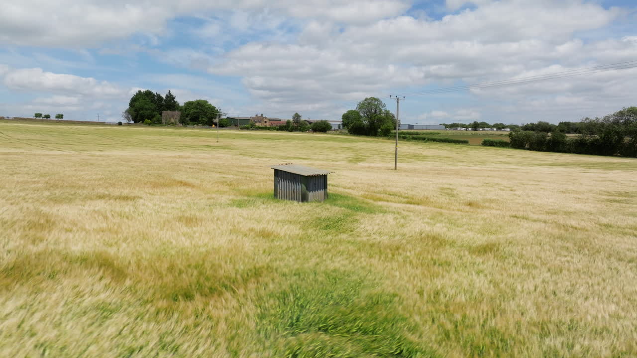 Wheat Crop In The Agricultural Fields Of Cotswolds In United Kingdom. - aerial shot