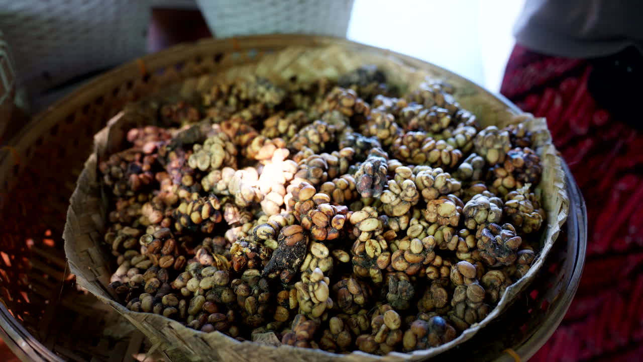 커피 생산, 윤리적 우려, 치료 아시아  시베트 동물