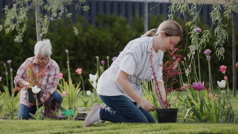 Eine-Aktive-ältere-Frau-Mit-Einer-Erwachsenen-Tochter-Pflanzt-Blumen-Im-Garten-In-Der-Nähe-Des-Hauses