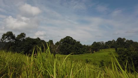 Landschaft,-Blauer-Himmel,-Sich-Bewegende-Wolken,-Menschen-Natur-Zu-Fuß-In-Der-Ferne