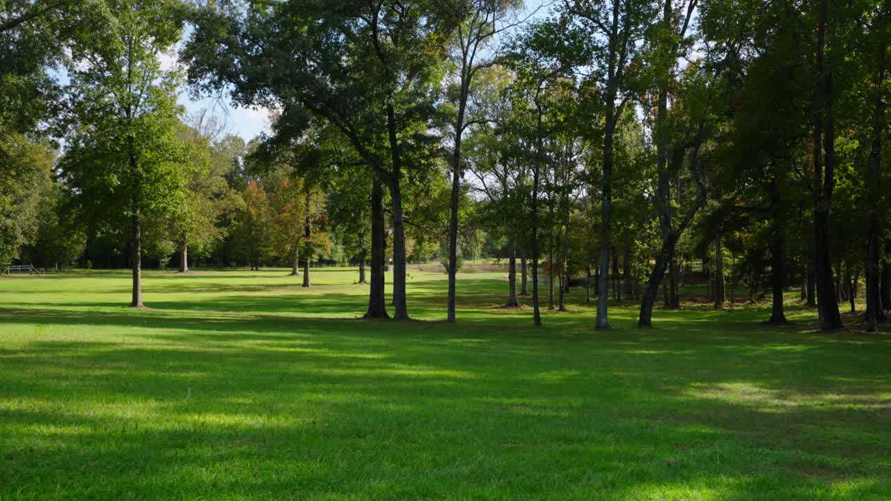 A spacious park filled with tall trees and a wide, grassy field under a sunny sky. Dappled sunlight casts soft shadows across the lush green grass, creating a calm and inviting natural environment.