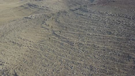 varios soldados del primer ejército practicando la guerra en el desierto