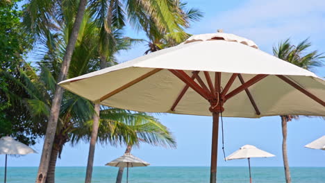 Close-up-of-a-bleached-canvas-sun-umbrella