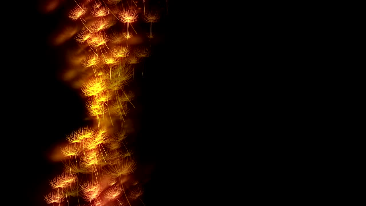 Abstract bokeh light sparkles dandelion or tampopo blow pattern yellow and pink gradient color illustration on dark background, seamless looping animation 4K with right copy space
