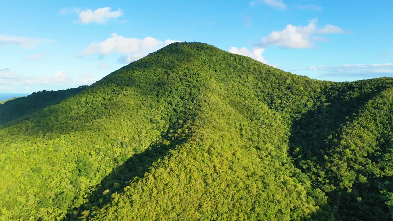 Drone footage captures the vibrant jungle-like forests of St. Croix, USVI, spreading over soft hills and valleys in a rich, unbroken canopy glowing under a warm and cloudless Caribbean sky