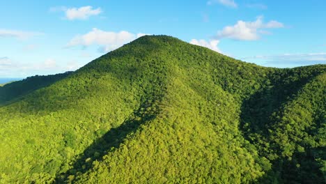 Drone footage captures the vibrant jungle-like forests of St. Croix, USVI, spreading over soft hills and valleys in a rich, unbroken canopy glowing under a warm and cloudless Caribbean sky