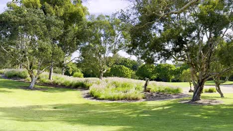 lush greenery and trees in a peaceful setting