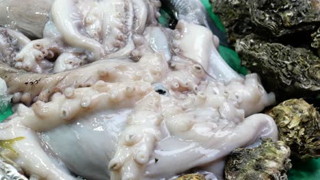 pulpo fresco y ostras en un mercado de mariscos