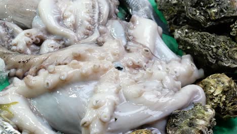 fresh octopus and oysters at a seafood market