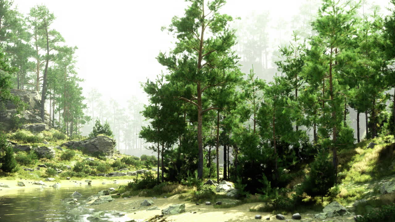 Calm riverbank with abundant trees and soft light filtering through foliage