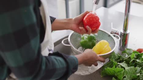 Video-of-hands-of-asian-woman-washing-vegetables