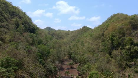 Beautiful-natural-valley-overgrown-with-trees,-aerial-drone-fly-forward-view