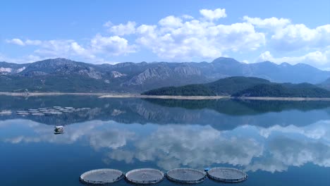 aerial view of fish farm