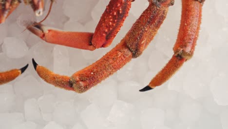 close-up of fresh crab legs on ice