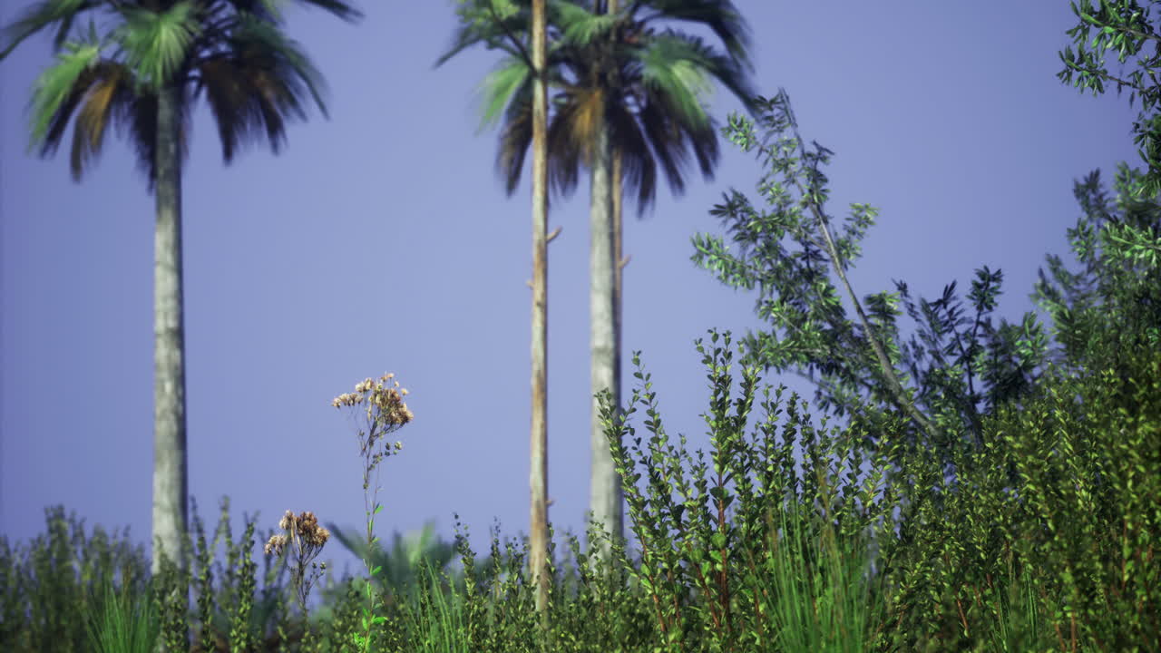 Lush greenery and towering palm trees under a bright blue sky in summer