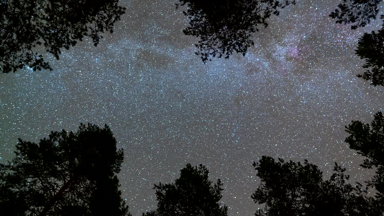 밤에 나무들을 가로질러 지나가는 은하계와 별들의 아래쪽의 시선.