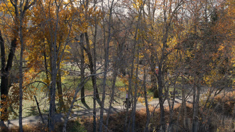 Side-view-of-young-Caucasian-man-riding-bicycle-on-road-in-park-4k