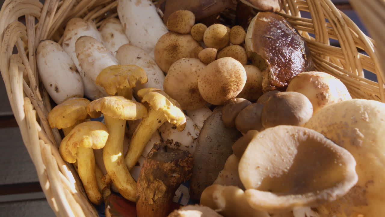 Various mushrooms in a basket with sunlight, close up shot