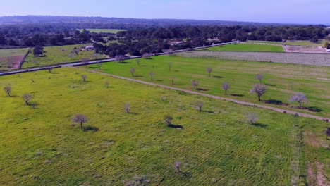 Imágenes-De-Drones-Del-Campo-En-Formentera