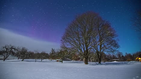 stars, clouds and aurora borealis above the winter landscape - time lapse