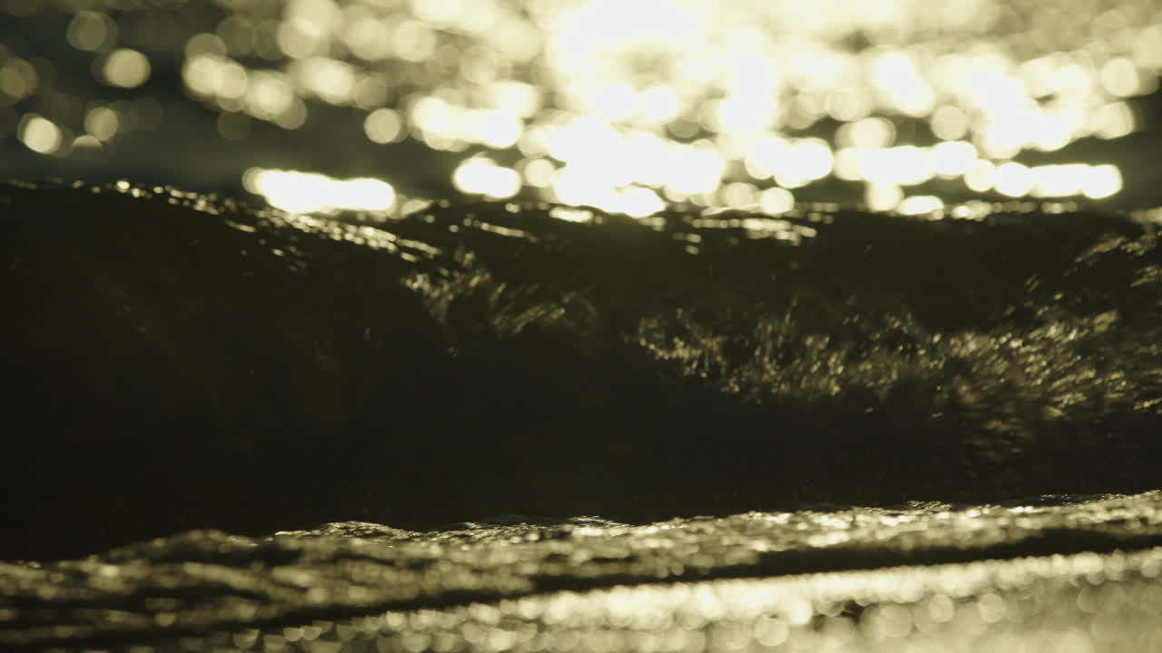 Le onde dorate del tramonto sulla spiaggia