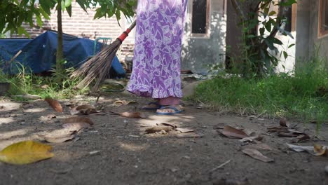 close-up of woman cleaning dried leave on front yard at home