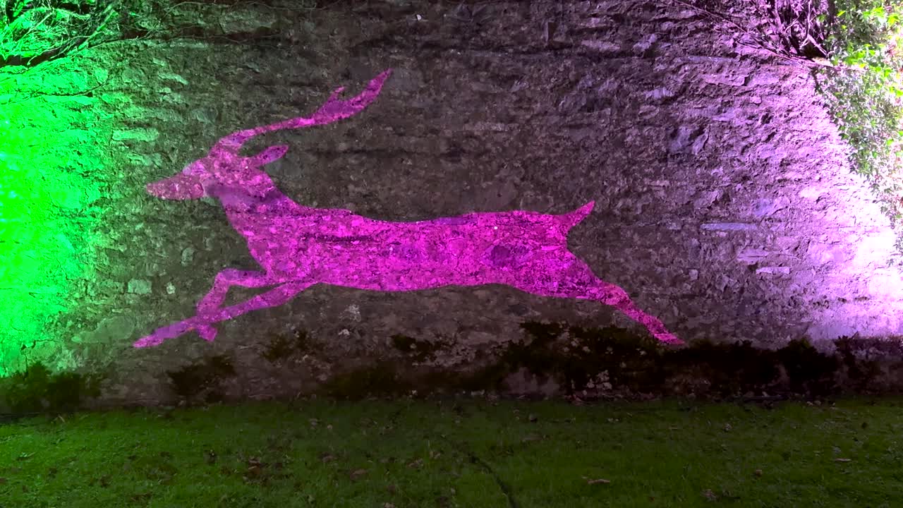 En färgstark projektion lyser upp en stenmur medan en hjortsiluett springer över skiftande ljus. Bilden tonar in och ut genom skiftande färger innan den försvinner och lämnar blinkande stjärnor efter sig.