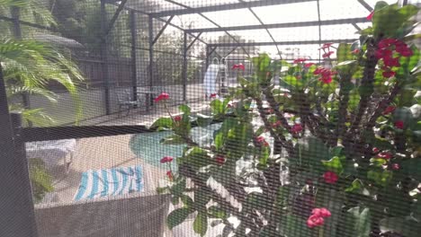 view of pool deck behind enclosure netting, kissimmee florida