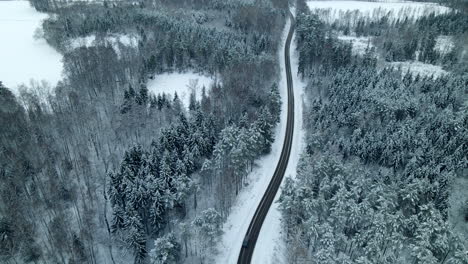 two cars driving on a black asphalt road true the forest covered with white snow between pine trees near pieszkowo